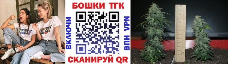 Канабис Amnesia  Каргат 